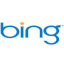 dominios de nueva categoría .bing