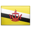 dominios de Brunéi .bn