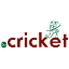 nowe końcówki domeny .cricket