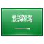 saudische Domänen .org.sa