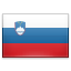 Slovenian domains .si