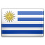 Uruguayan domains .com.uy