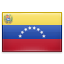 Venezuelan domains .firm.ve
